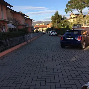 Le Di Cinzia , Vinci Italia